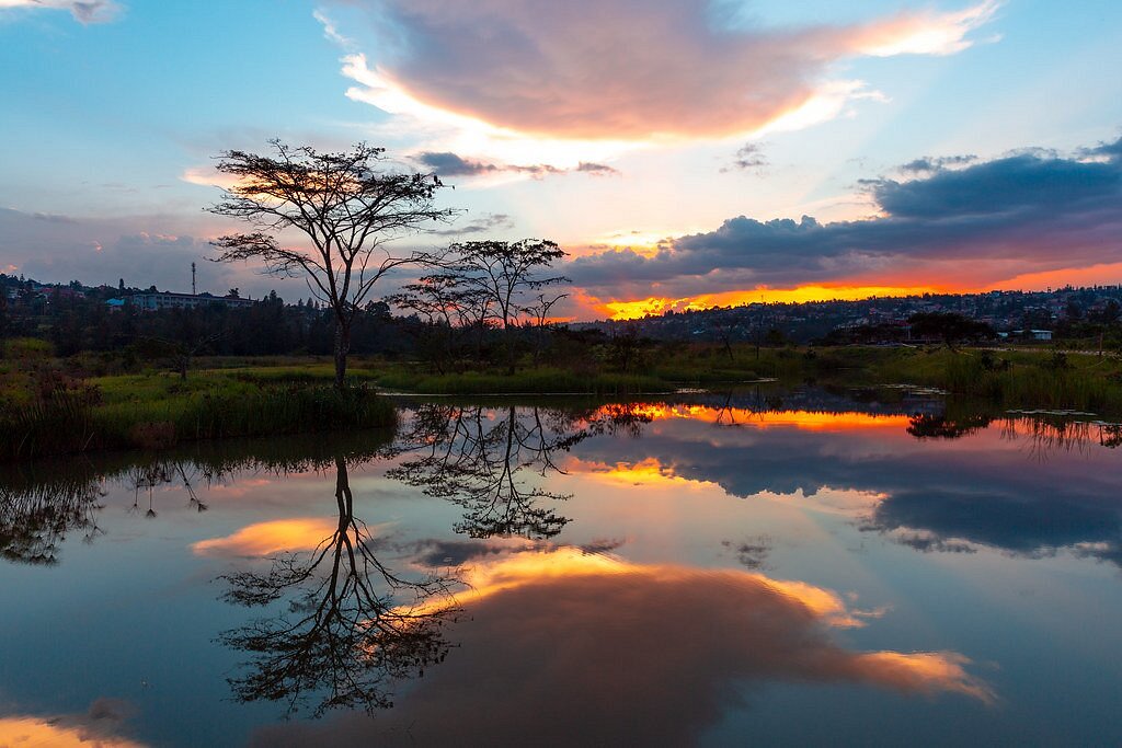 Why Rwanda is the Greenest Country in Africa