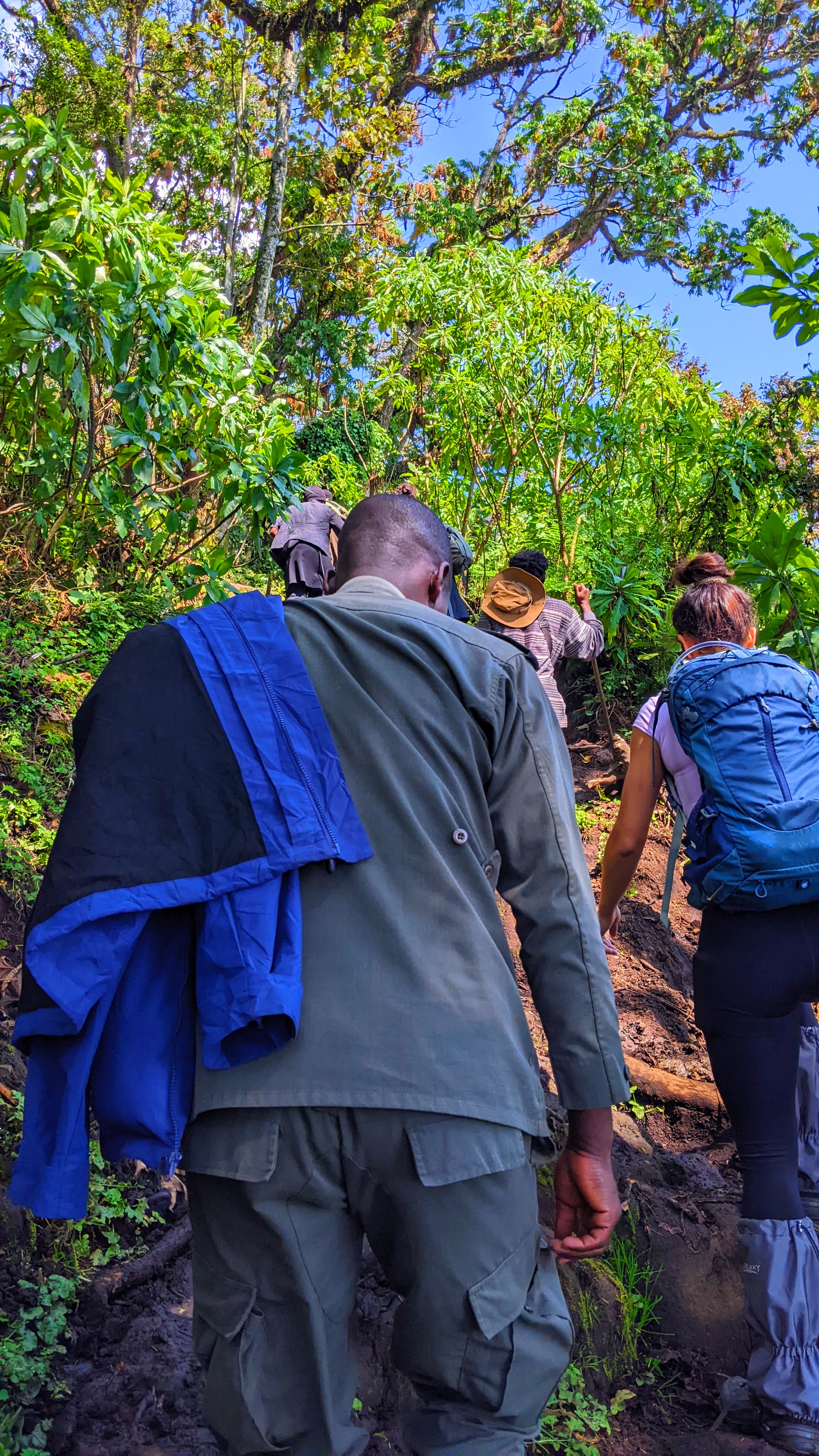 Hiking Volcanoes Musanze